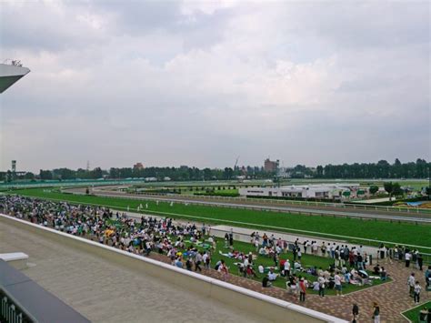 札幌競馬場のコースの特徴！洋芝と円形状の馬場で狙うなら？ 競馬の先生