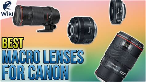 Best Macro Lenses For Canon Youtube