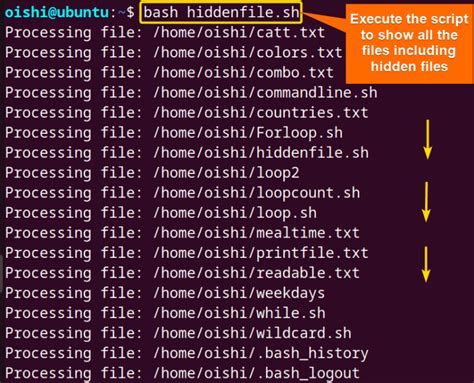 How To Loop Through Files In Bash Directory With Examples Linuxsimply