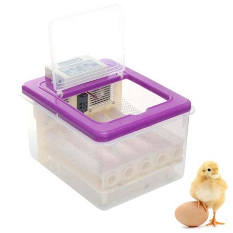 Buy DXQDXQ Home Use 24 Eggs Incubator Bionic Water Bed With Automatic