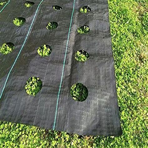 70gsm 90gsm 100gsm Heavy Duty Agriculture Garden Vegetable Anti Weed