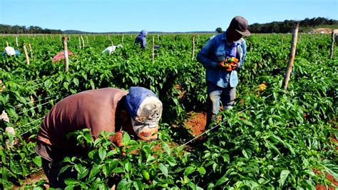 La Comunidad Andina CAN impulsará una Agenda Agropecuaria para la