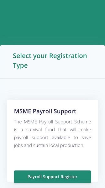 How To Apply For Fgs N Billion Msme Survival Fund For Small