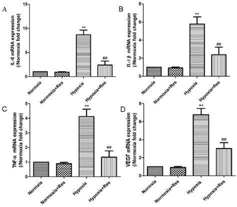 Real Time Pcr Analyses For Cytokines Of Il 6 Il 1β Tnf α And Vegf Download Scientific Diagram