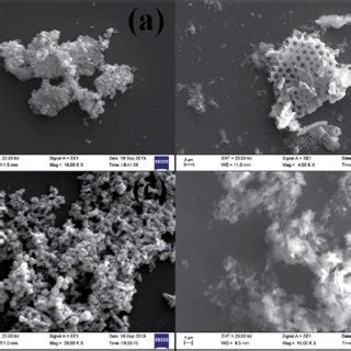 A High Magnification FE SEM Micrographs Of The As Prepared CdO ZnO