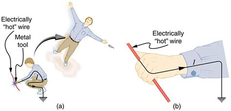 11.9 Electric Hazards and the Human Body – Douglas College Physics 1207