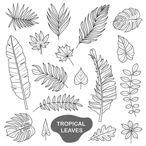 Premium Vector Tropical Leaves Doodle Illustration