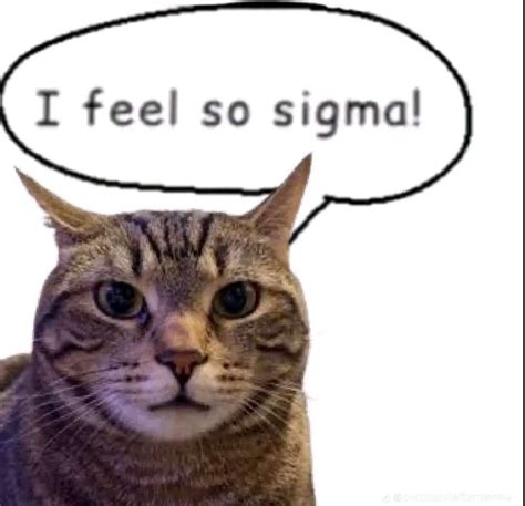 So Sigma Rcatmemes