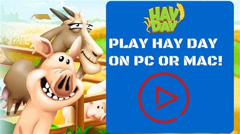 Hay Day For Pc Hayday For Pc Play Hay Day Game On Pc Youtube