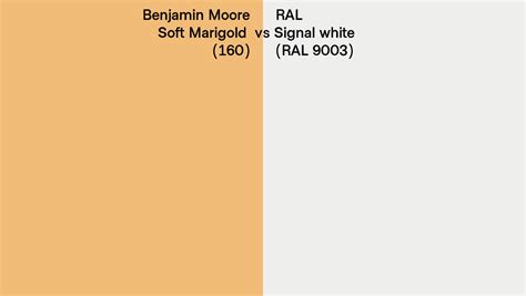 Benjamin Moore Soft Marigold Vs Ral Signal White Ral Side