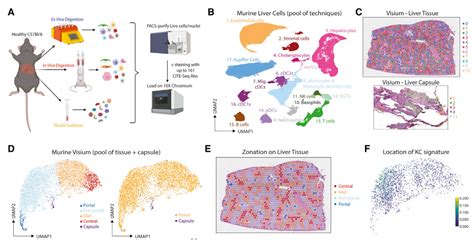 Cell Nature