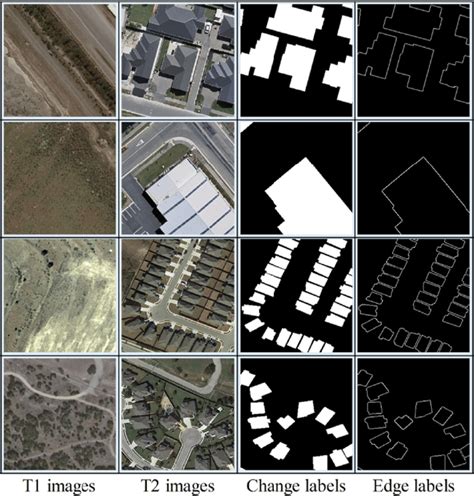 Dataset Sample Images Display The First And Second Rows Are Obtained