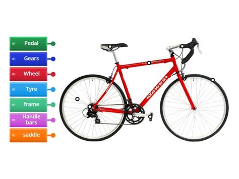 Parts of a bicycle - Labelled diagram