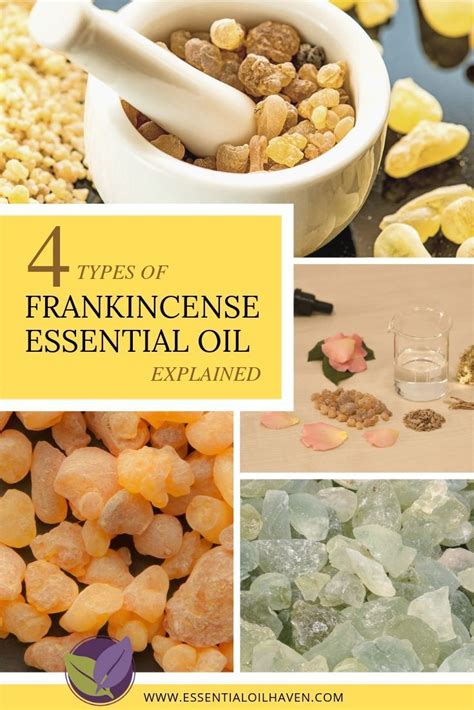 What Are The Uses And Benefits Of Frankincense Oil Frankincense