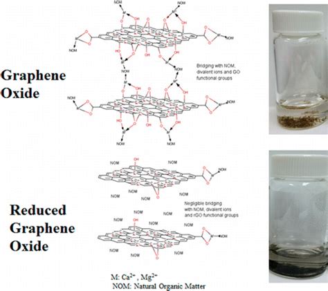 Aggregation And Stability Of Reduced Graphene Oxide Complex Roles Of