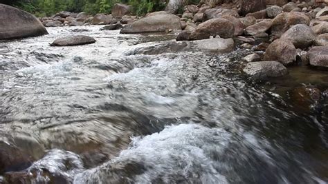 Flowing Creek Closeup Fresh Water Stock Footage Video