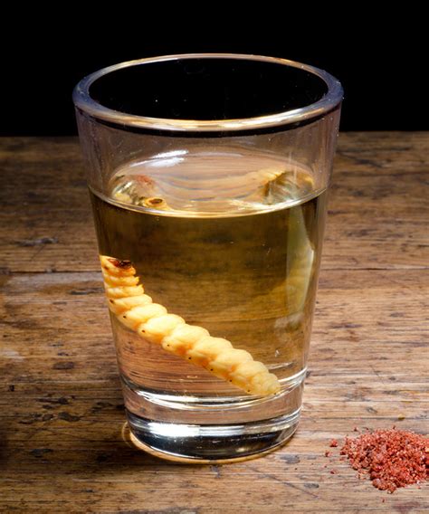 The Real Story Behind The Tequila Worm