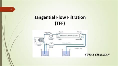 Tangential Flow Filtration Principle Rayford Gavin