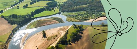 Une Sortie De D Couverte Des Oiseaux Et De La Loire Ville De Bourbon