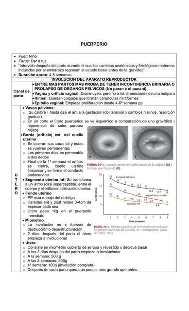 Resumen Cap Tulo Williams Obstetricia Cunningham Todo Sobre Libros