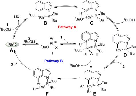 Plausible Reaction Pathways Download Scientific Diagram