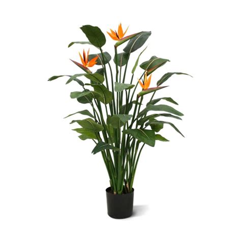 Strelitzia Reginae Artificial Plant Cm Green Bubble