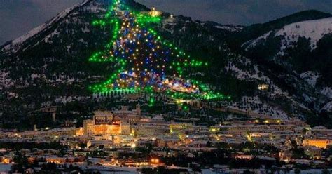 Lalbero di Natale più grande È a Gubbio in Umbria Attualità Home