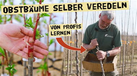 Obstbäumen selbst veredeln und alte Obstsorten erhalten Profi zeigt