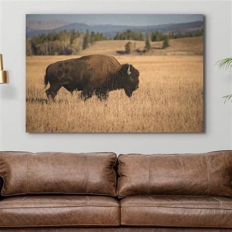 Bison Canvas Etsy