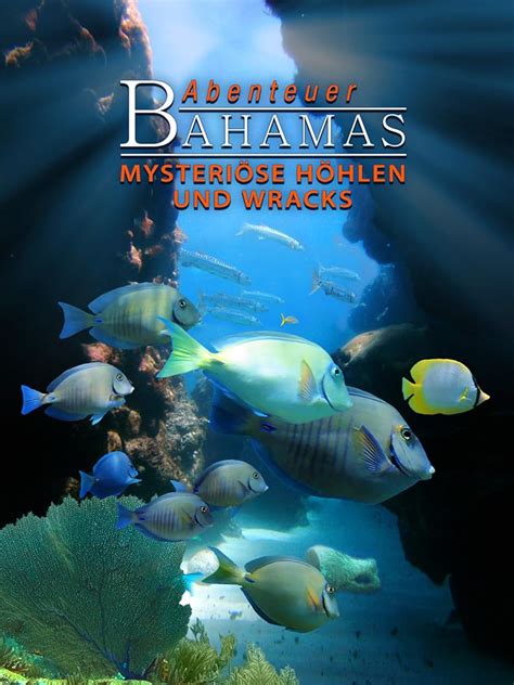 Wer streamt Abenteuer Bahamas Mysteriöse Höhlen und Wracks