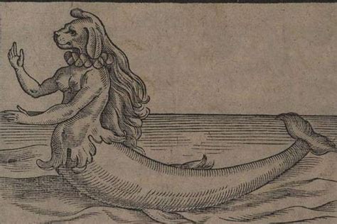 People From History Who Claimed To Have Encountered Mermaids Mermaid