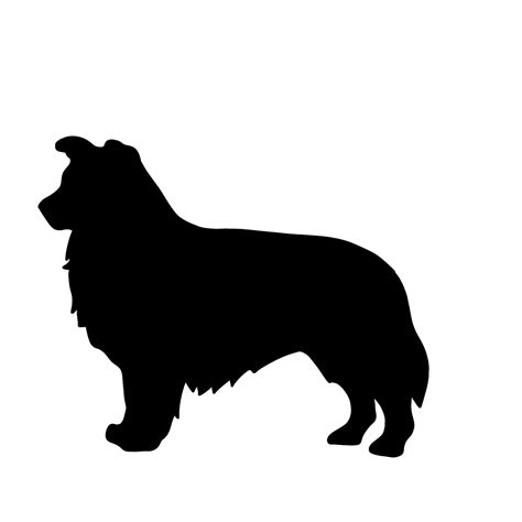 Border Collie Silhouette Svg