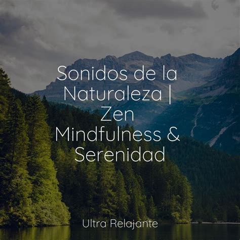 Sonidos de la Naturaleza Zen Mindfulness Serenidad Canciónes