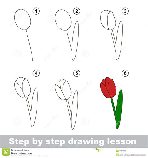 How To Draw A Tulip Flower Step By Step At Drawing Tutorials