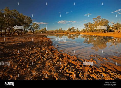 Australian Outback Landscape During Drought With Trees And Blue Sky