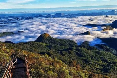 O Que Fazer Em Nova Friburgo Para Curtir A Natureza Amo Estar Bem