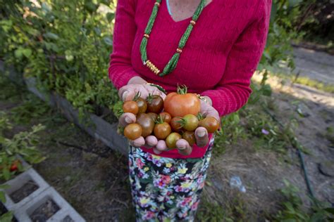 Lawns to Lettuce — Snohomish Conservation District