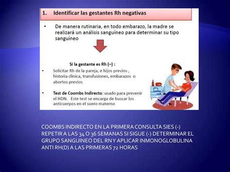 Incompatibilidad Rh Isoinmunizaci N Ppt