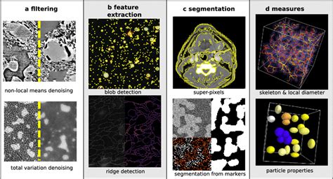 Typical Image Processing Operations With Scikit Image Data Are Download Scientific Diagram