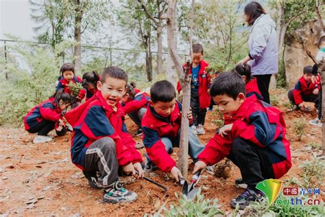 江西赣州：春风吹新绿 植树正当时地方新闻中国青年网