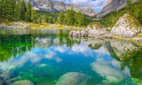 Lake Forest Stones Mountains Julian Alps Slovenia Landscape Wallpaper