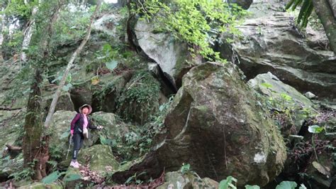 梅后蔓瀑布步道寶山水庫環湖步道 健行筆記