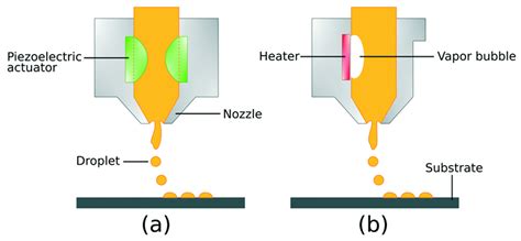 Compounds Free Full Text 3d Printing In Drug Delivery And Biomedical Applications A State