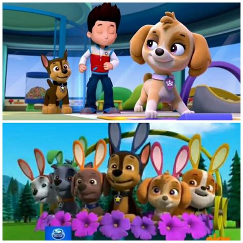 Ryder Paw Patrol Paw Patrol Pups Chase Paw Patrol Paw Patrol