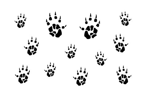 Opossum Paw Footprint Svg Graphic By Graphics Studio Zone · Creative