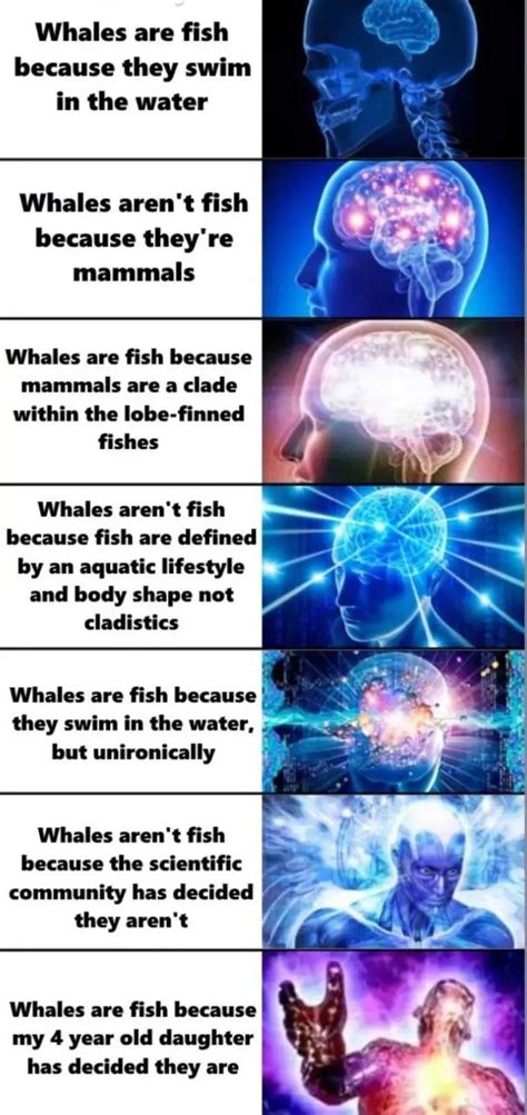 The best Whale memes :) Memedroid