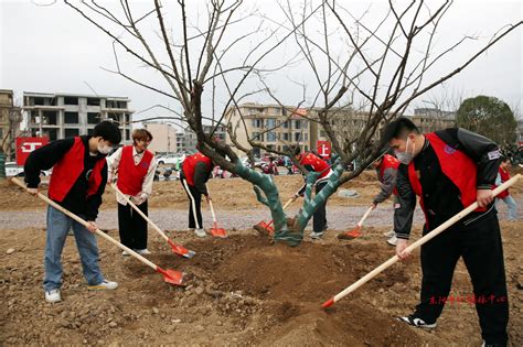 为亚运添绿 为东阳添彩 我市开展“我为亚运种棵树”全民义务植树活动