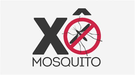 Cuidados Devem Ser Redobrados Para Evitar Proliferação Do Mosquito Da