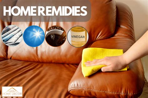 How To Get Rid Of Musty Smell From Leather Sofa Resnooze