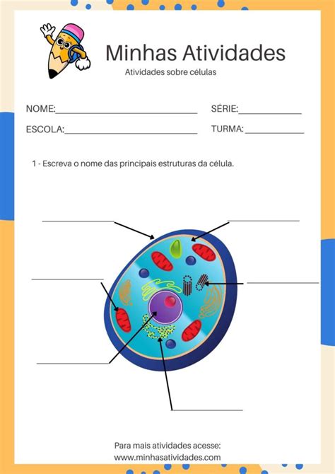 Caderno Atividades Sobre C Lulas